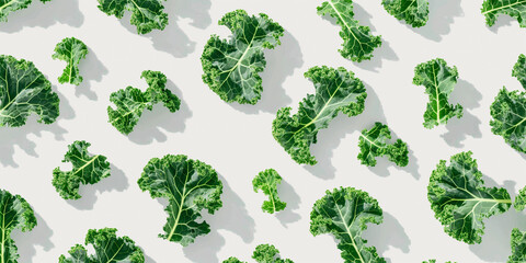 A background of kale, each with its shadow, scattered across the canvas in an elegant display, with soft shadows on a white background