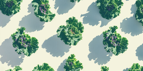 A background of kale, each with its shadow, scattered across the canvas in an elegant display, with soft shadows on a white background
