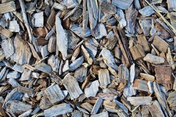 Wood Chips in the Light