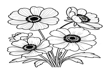 Naklejka premium simple picture of black and white anemone bunch of flowers, black hair, on a white clear solid background, no color