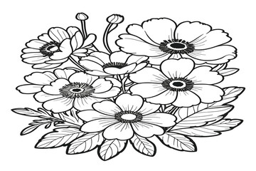 simple picture of black and white anemone bunch of flowers, black hair, on a white clear solid background, no color
