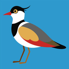 Fototapeta premium Lapwing bird vector illustration, Lapwing vector, icon, logo, png. 