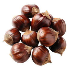 Obraz premium chestnut autumn isolated on the white background