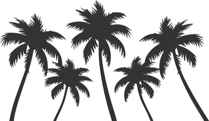 Coconut trees vector set icons silhouettes style with white background
