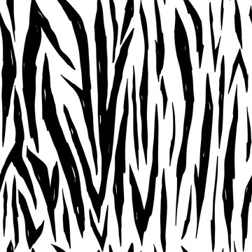 Zebra skin seamless pattern with black stripes. Vector background