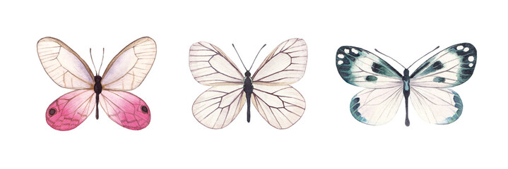 Fototapeta premium Watercolor butterflies set isolated on white background. Colorful hand drawn illustration for postcards, invitations, greeting cards, souvenirs