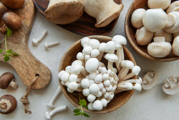 Assortment of various raw mushrooms on gray concrete background.