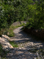 View along cobbled footpath in summer Italy