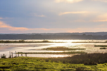 Scenic view at a lake in backlight with dark clouds in the sky