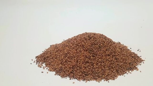 Pile of Fenugreek seeds on white background isolated, moving from right to left, front view, close up, herbs and spices.
