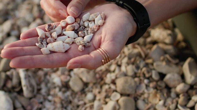 young girl sits on the beach and collects various shells in her hand. collection of shells. girl's hands with shells close-up. rest and meditation.