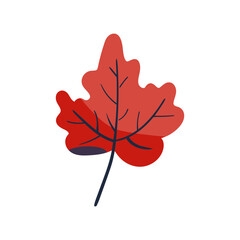 Folk plant. Red maple leaf. Autumn botany Minimalistic style. Flat isolated vector illustration. No AI. hand drawn