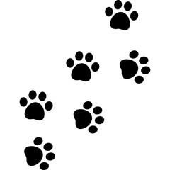 Fototapeta premium Cat Paw Trail