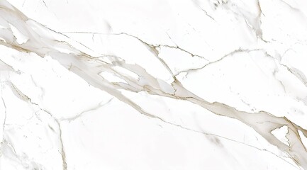 Fototapeta premium white marble texture