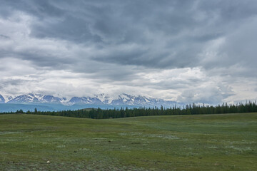 Mountain landscape with green meadow, forest and cloudy sky.