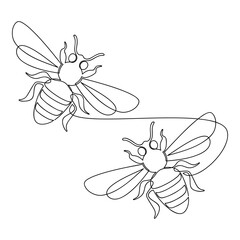 Two hand drawn fly wasp bug vector. One line continuous drawing. Insect linear illustration, minimal icon, print, banner, card, wall art, poster, brochure, doodle, cartoon, sign, outline symbol.