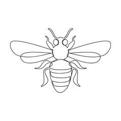 Hand drawn fly wasp bug vector. One line continuous drawing. Insect linear illustration, minimal icon, print, banner, card, wall art, poster, brochure, doodle, cartoon, sign, outline symbol.