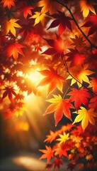 Sunlit Autumn Momiji Leaves Wallpaper