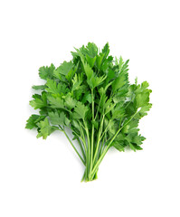 Fresh green parsley bunch on white background.