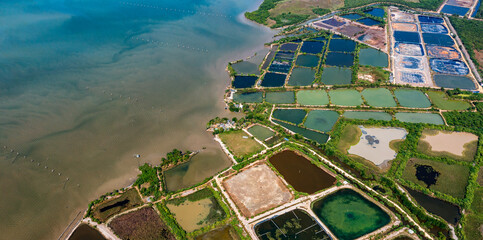 Shrimp farms aerial view in the Gulf of Thailand.