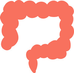 cholorectal Human organ illustration anatomical for medicine, biology, education