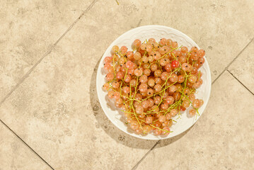 white currant on a white plate