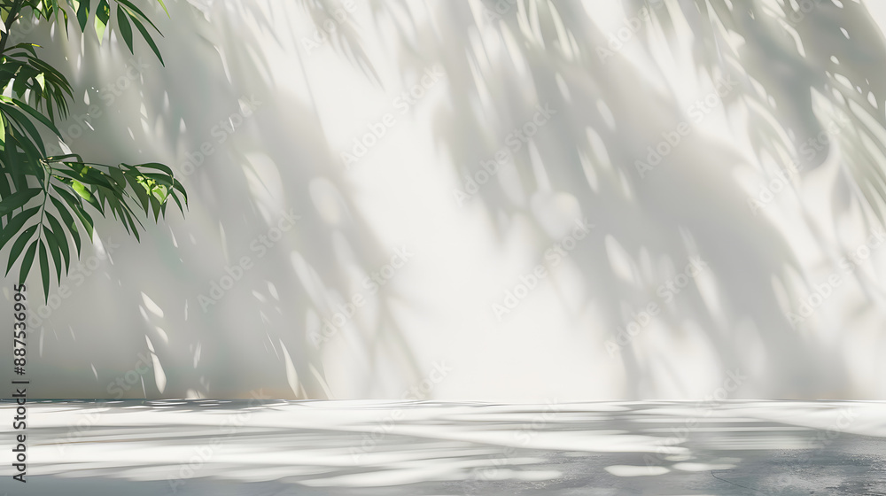 Canvas Prints blank empty white wall and floor studio with natural leaves shadow overlay mockup background for des