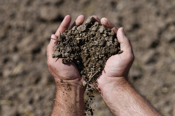 Soil in hands. Farmer with soil mud in hands. Gardening. Agriculture concept. Mud on field. Soil...