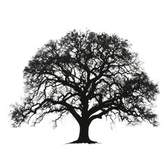 Obraz premium Plant And Tree, Generative AI