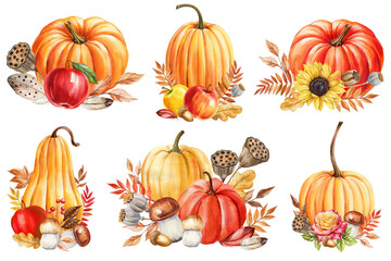 Pumpkin, dry plants, autumn leaves watercolor Isolated. Fall composition set for design, Thanksgiving harvest festivals