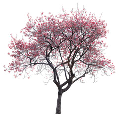 Obraz premium Plant And Tree, Generative AI