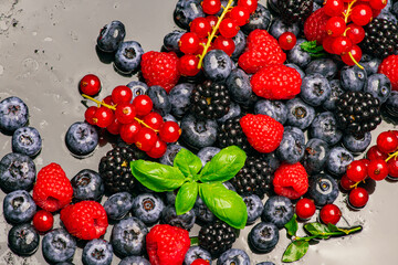 Wild berries background. Blueberry, raspberries, blackberry. Background of berries. Summer berries background. Mixed berries background.