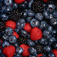 Wild berries. Ripe blackberries, blueberries, raspberries. Mix of garden berries. Forest fruit berry mix. Texture background. Ripe berries background.