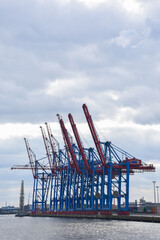 Fototapeta premium Cranes in the port of Hamburg.