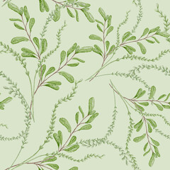 Botanical seamless pattern foliage with stems. Thin green branches with leaves watercolor greenery endless background isolated. Plants arrangements hand drawn ornament print. For textile, package