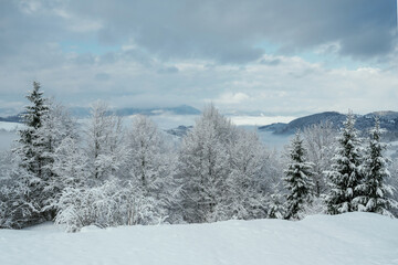 Majestic view of Carpathian Mountains at winter time, hills are covered with snow