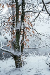 Beautiful winter frozen lake view
