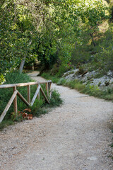 Camino con barandilla de madera para acceder al área recreativa la Font Hortet del Pobre en el preventorio de Alcoy, España