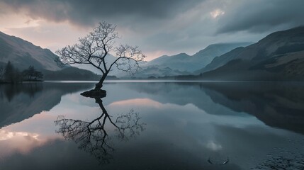 Idyllic scene of barren solitary tree thriving and mirroring in body of water encircled by peak range during twilight.