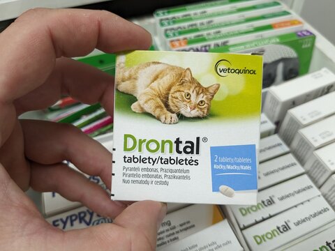 Prague, Czech Republic - July 13, 2024: DRONTAL tablets with PRAZIQUANTEL and PYRANTEL active substances by BAYER, used for deworming pets.Cats or dogs

