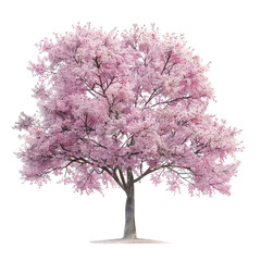 Obraz premium Plant And Tree, Generative AI