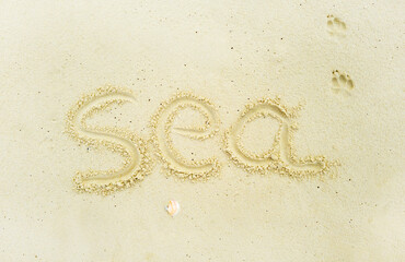 Writing in light yellowish sea sand of the word sea. Tropical island on clean sand with free areas for text. Photographed from above in close-up. Suitable for vacation postcards