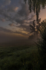 Obraz premium Misty landscape in the morning