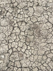 dry cracked earth