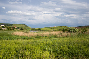 summer landscape with green meadow and blue sky