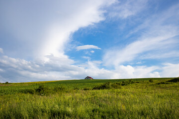 Obraz premium summer landscape with green meadow and blue sky