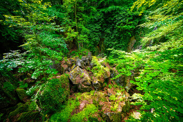 Path through nature at the Felsenmeer in Hemer. Forested biotope with rocks in the Sauerland.
