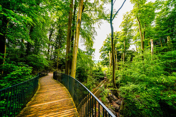 Obraz premium Path through nature at the Felsenmeer in Hemer. Forested biotope in the Sauerland. 