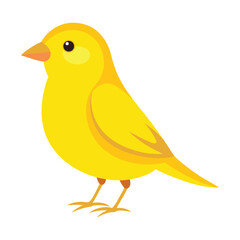 Illustration of yellow canary isolated 