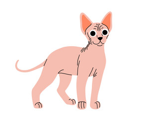 Cute cat concept. Adorable domestic sphynx cat. Pink kitten standing. Cartoon flat vector illustration isolated on white background